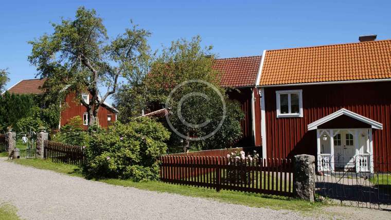 Looking For a New Roof?
